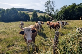 Sécheresse 2026 : un premier signal positif, mais des moyens très insuffisants face à l'ampleur de la crise