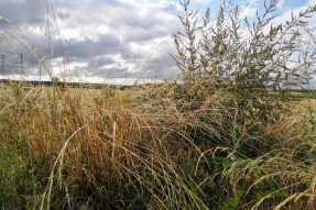 PAC 2026 : plus de 77 millions d'euros versés d'ici le 20 octobre pour soutenir la trésorerie des agriculteurs de la Côte-d'Or