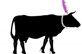 Défilé de Mode Agricole par la Fabrique à Berlue !