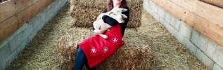 Dijon Céréales est un partenaire bien présent à la Ferme de JAnne !