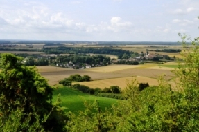 Le collège des acteurs économiques quitte le GIP Parc du Parc National des Forêts de Champagne et Bourgogne