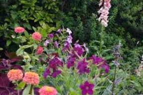 Beaune conservera-t-elle ses 4 fleurs ?