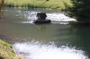 Préservez les zones humides...sur la route des amphibiens !