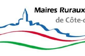 Ecoles numériques rurales, Les maires ruraux se mobilisent et demandent des actes