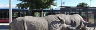 La biodiversité s'installe à Dijon au mois de juin