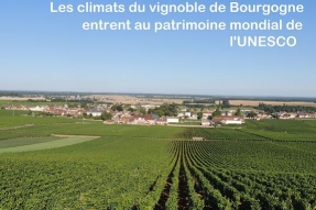 Les climats du vignoble de Bourgogne entrent au patrimoine mondial de l'UNESCO.