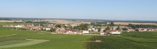 Les climats du vignoble de Bourgogne entrent au patrimoine mondial de l'UNESCO.