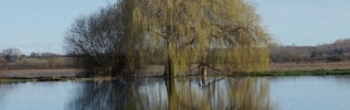 Exposition 
