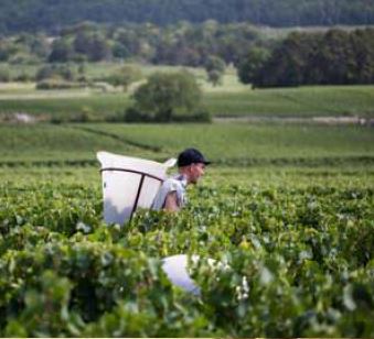 La Bourgogne-Franche-Comt&eacute; au 53e salon international de l'agriculture