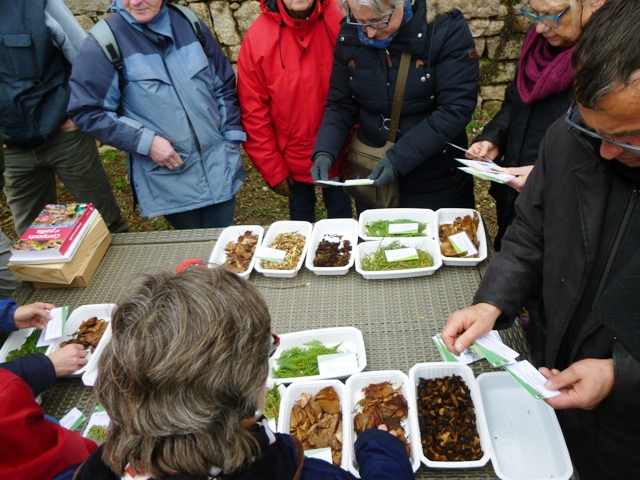 DECHETS VERTS MARIE QUIQUEMELLE ECHO DES COMMUNES 2016