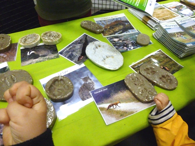 BIODIVERSITE DIJON MARIE QUIQUEMELLE 2016 ECHO DES COMMUNES