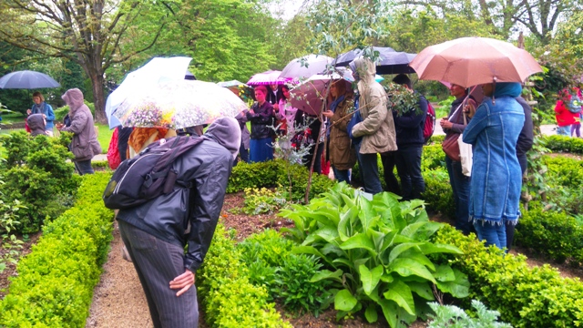 BIODIVERSITE DIJON MARIE QUIQUEMELLE 2016 ECHO DES COMMUNES