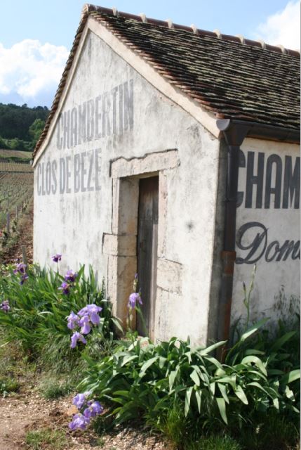 S'&eacute;vader en C&ocirc;te-d'Or - Gevrey-Chambertin