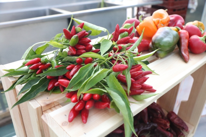 Le potager des ducs : des l&eacute;gumes 100% dijonnais