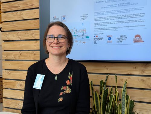 DR - Adrienne Simon Krzakala