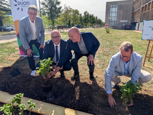 Elus et partenaires ont plant&eacute; du cassis noir de Bourgogne pour lancer les travaux d'Agronov 2 &copy;Nad&egrave;ge Hubert