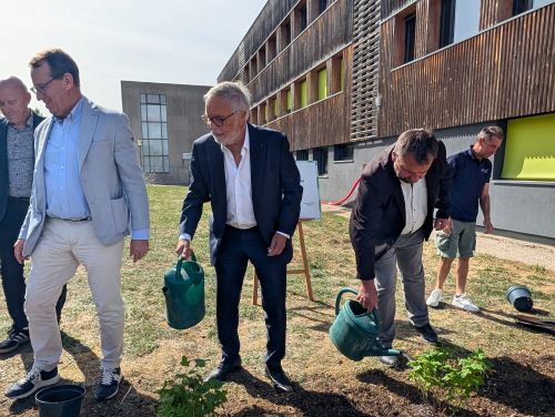 Elus et partenaires ont plant&eacute; du cassis noir de Bourgogne pour lancer les travaux d'Agronov 2 &copy;Nad&egrave;ge Hubert