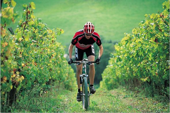 Ann&eacute;e du v&eacute;lo