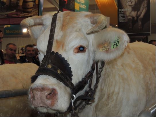 cg21 ferme cote d'or