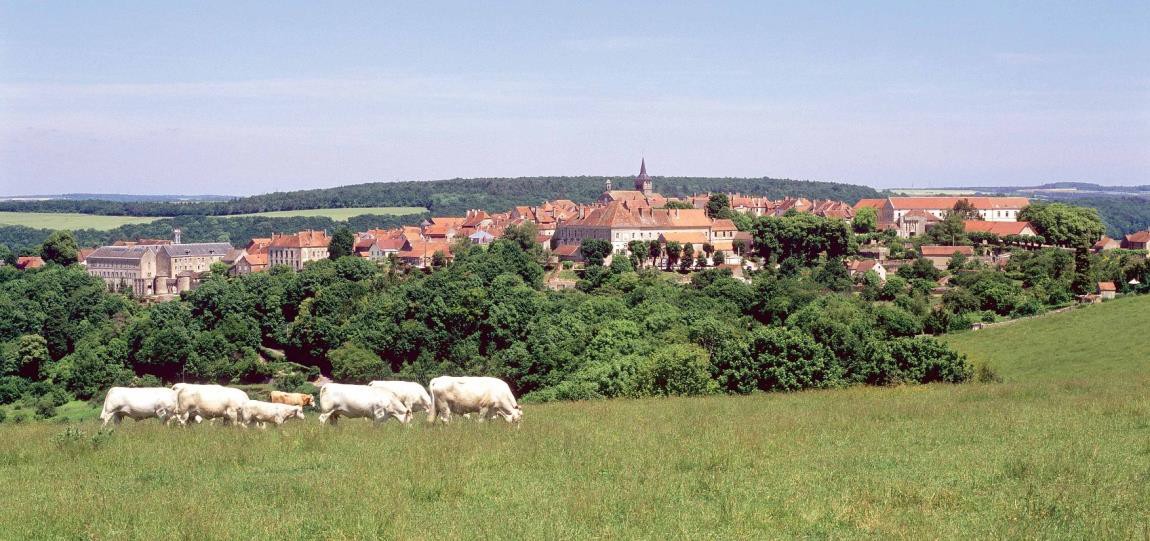Le saviez-vous ? Flavigny fait partie des Plus Beaux Villages de France. La Fabrique d&rsquo;Anis est reconnue Site Remarquable du Go&ucirc;t par les Minist&egrave;res du Tourisme, de l&rsquo;Environnement et de l&rsquo;Agriculture Plusieurs. Monuments Historiques Class&eacute;s. Chaque avant dernier weekend d&rsquo;octobre, &agrave; l&rsquo;occasion de la foire de la St Simon, plus de 4000 personnes viennent se r&eacute;galer, chiner, papoter, s&rsquo;amuser en famille, entre amis, dans toutes les ruelles de Flavigny. En hiver, derri&egrave;re de nombreuses fen&ecirc;tres du village les habitants pr&eacute;sentent aux promeneurs des cr&egrave;ches les unes plus originales et po&eacute;tiques que les autres.