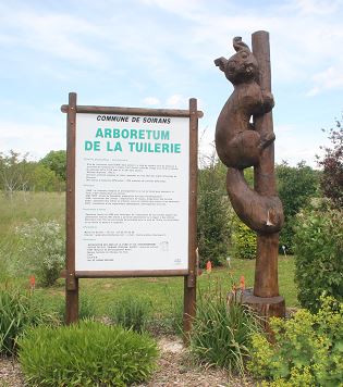 Soirans arboretum