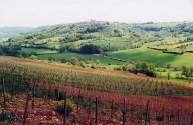 DOMAINE FLAVIGNY ALESIA