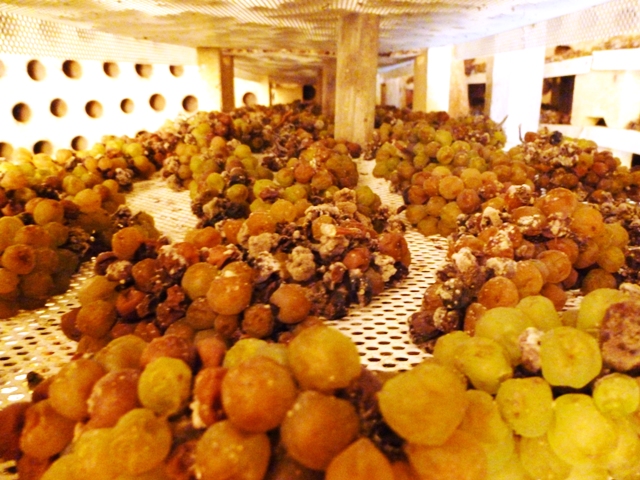 DOMAINE FLAVIGNY ALESIA