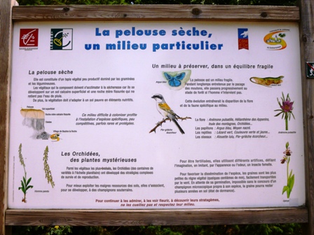 GRANDS CHEMINS BEAUME LA ROCHE ECHO DES COMMUNES