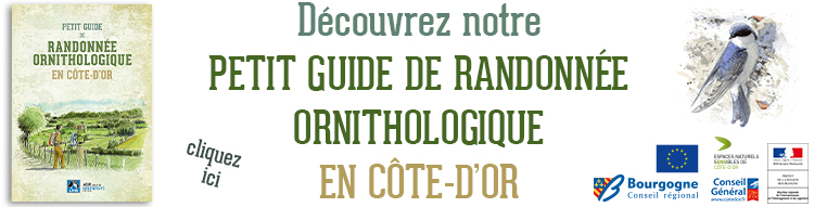 GRANDS CHEMINS BEAUME LA ROCHE ECHO DES COMMUNES