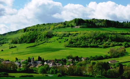 REGION BOURGOGNE APPEL A PROJET PROTECTION DU BOCAGE