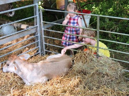 FERME DE JANE ECHO DES COMMUNES