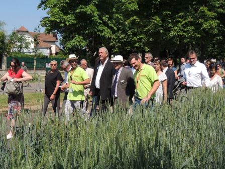 FERME DE JANE ECHO DES COMMUNES