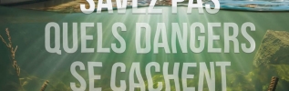 Baignades en toute sécurité : les alertes et bons conseils de VNF