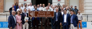 90 ans de la Route des Grands Crus : le programme des festivités se prépare !  