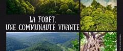 La forêt une commune vivante