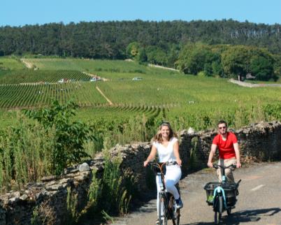 Quoi de neuf sur l&rsquo;appli Balades en Bourgogne ?