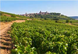 A RÉGION BOURGOGNE-FRANCHE-COMTÉ AU CŒUR DE TER DE FRANCE A RÉGION BOURGOGNE-FRANCHE-COMTÉ AU CŒUR DE TER DE FRANCE