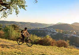 A RÉGION BOURGOGNE-FRANCHE-COMTÉ AU CŒUR DE TER DE FRANCE A RÉGION BOURGOGNE-FRANCHE-COMTÉ AU CŒUR DE TER DE FRANCE