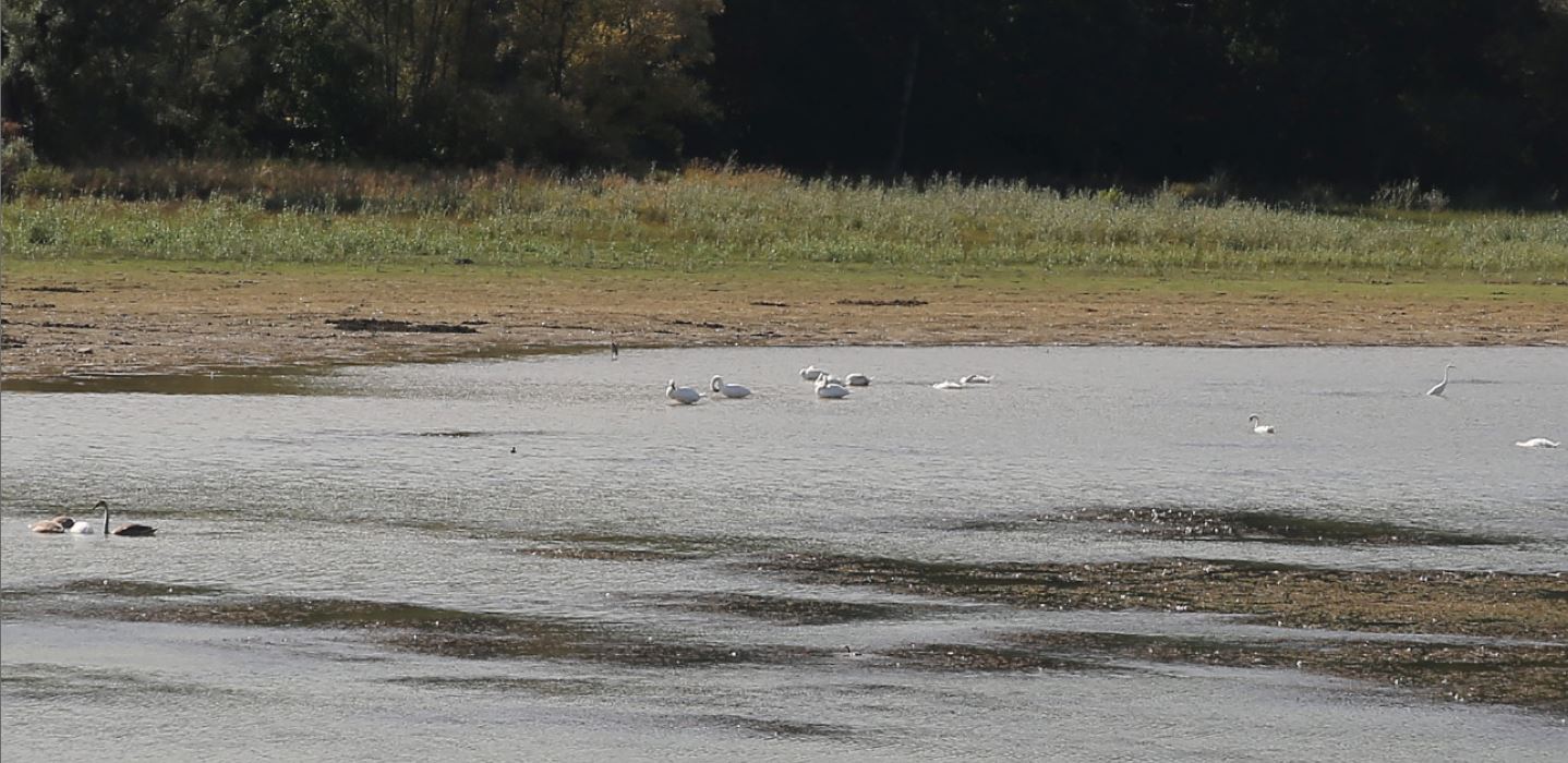 Inauguration de la labellisation du r&eacute;servoir de Cercey en espace naturel sensible ENS
