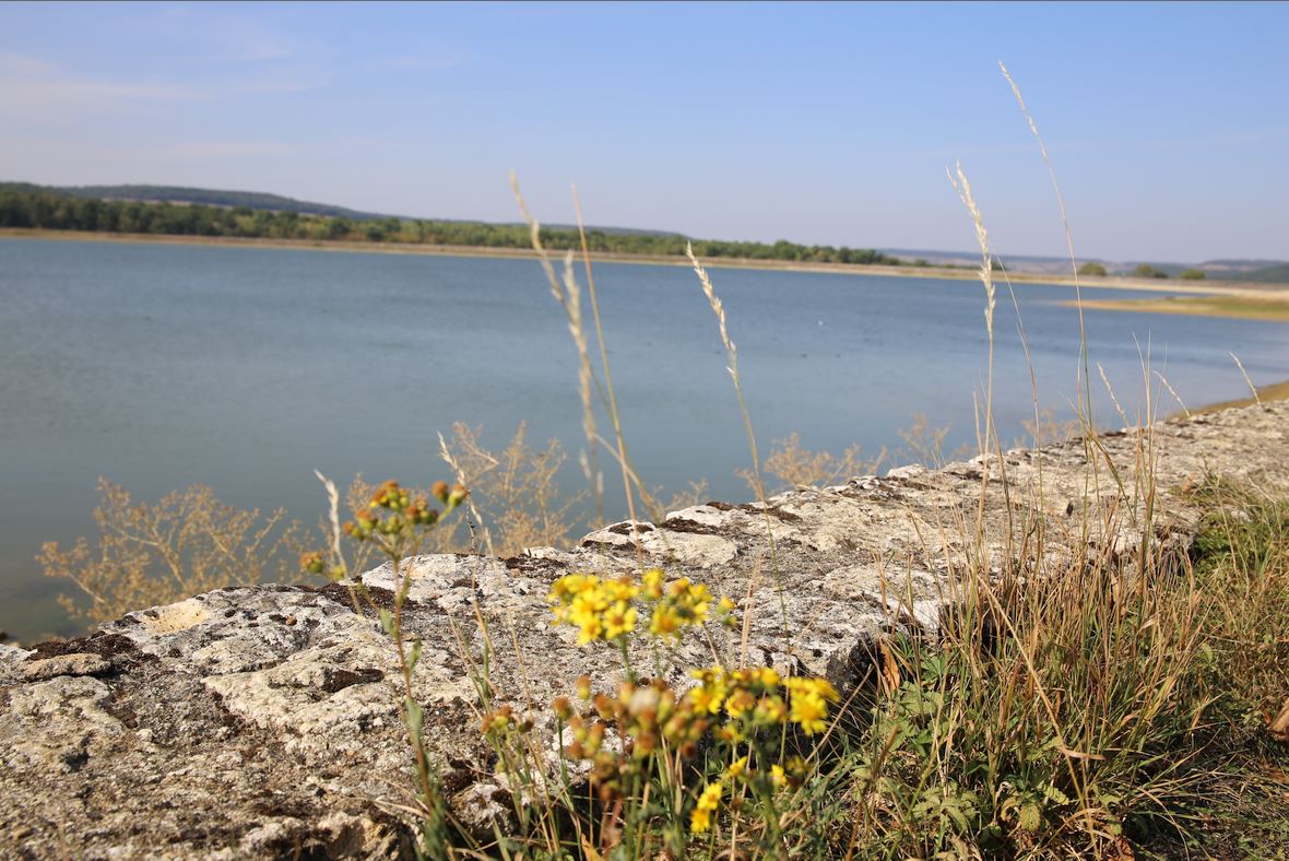 Espace Naturel Sensible (ENS) du r&eacute;servoir de Cercey.