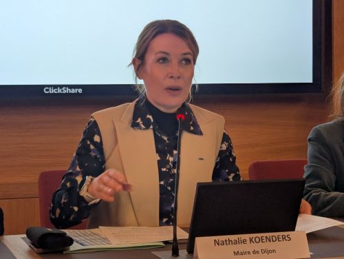 Nathalie Koenders, maire de Dijon Nathalie Koenders, maire de Dijon
