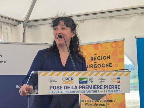 Violaine D&eacute;maret, pr&eacute;f&egrave;te de C&ocirc;te-d'Or et de r&eacute;gion &copy;Nad&egrave;ge Hubert