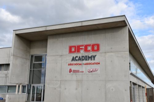 &copy;DFCO