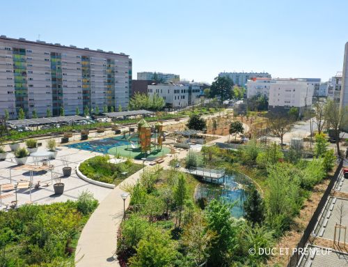 Parc du C&egrave;dre &agrave; Chen&ocirc;ve &copy;Duc et Pr&eacute;neuf