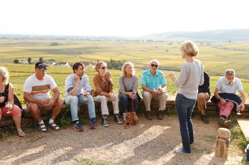 Exp&eacute;rimentarium dans les vignes &copy;Lionel Maillot